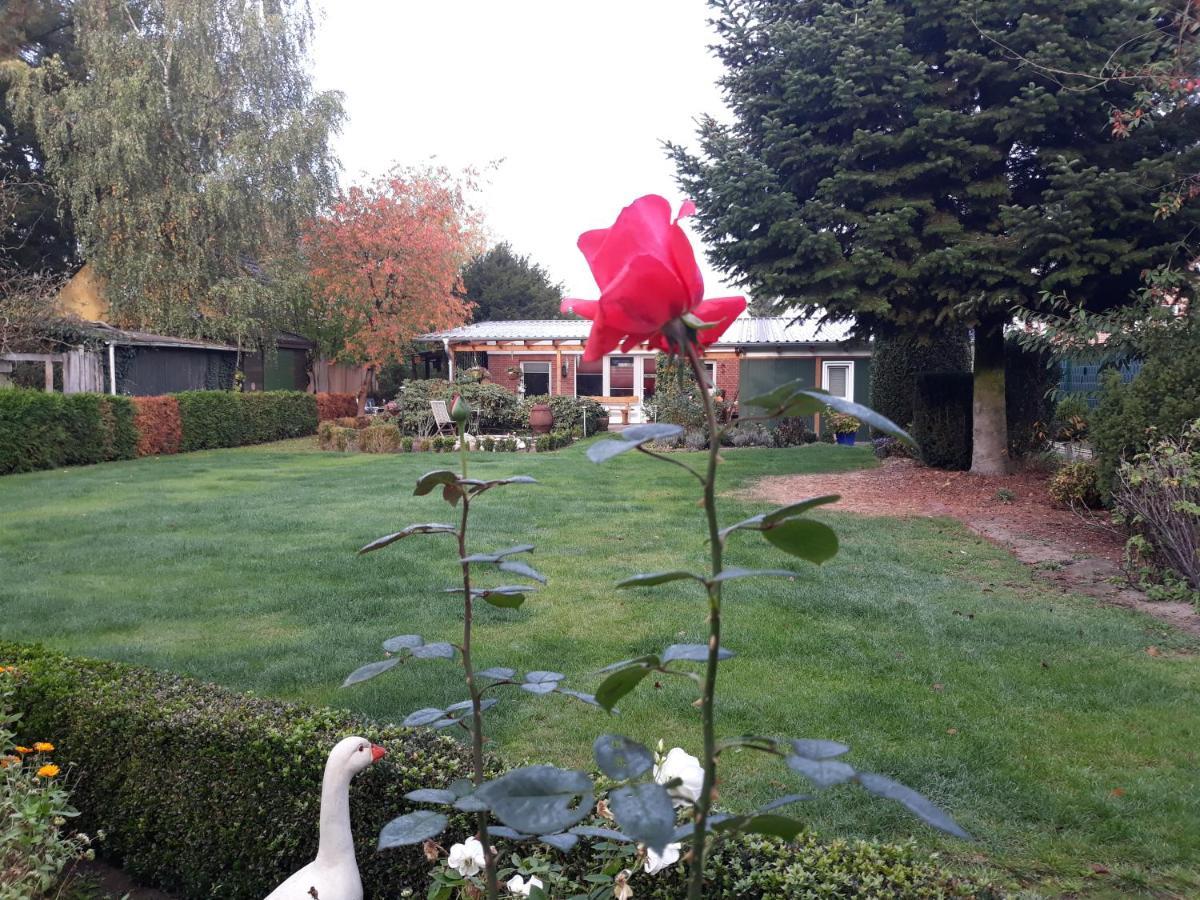 Haus Birkenheim Villa Hatten Luaran gambar